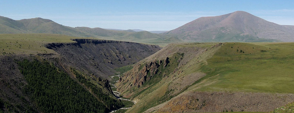 Тамчийн хавцал